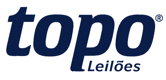 Topo Leilões